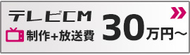 テレビCM 制作+放送費 30万円〜