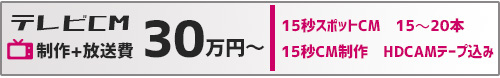 テレビCM 制作+放送費 30万円〜